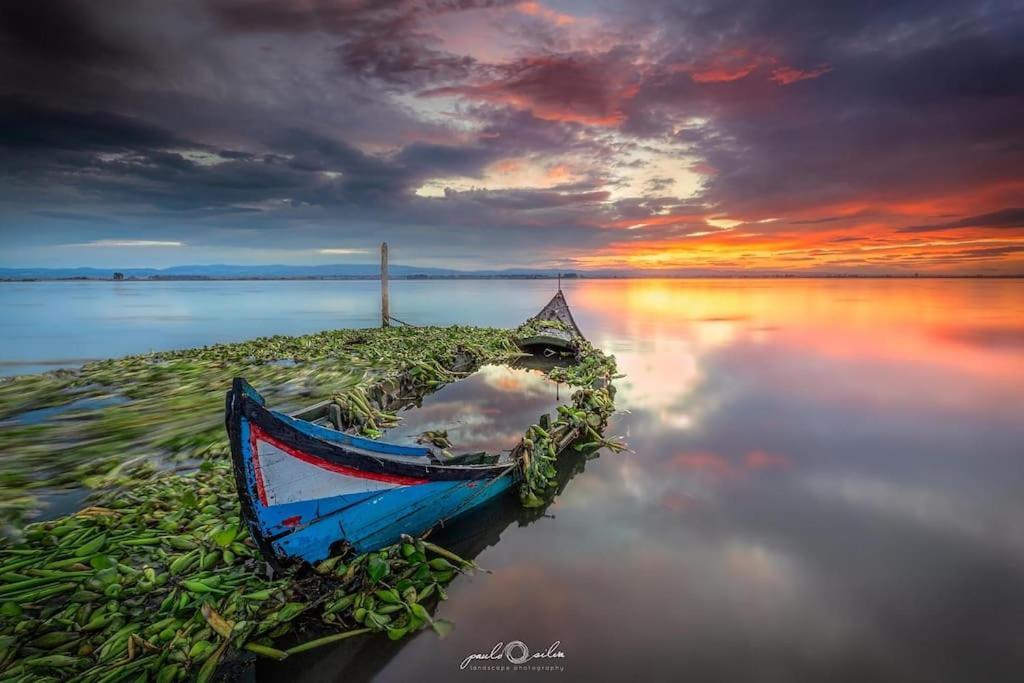 Bird'S Home Aveiro Bagian luar foto